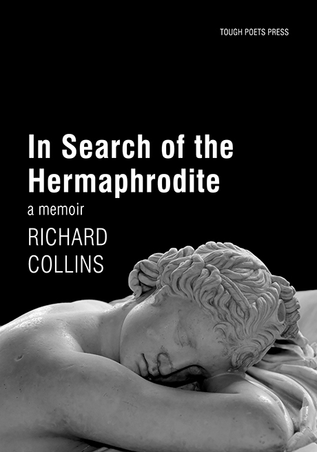 In Search of the Hermaphrodite